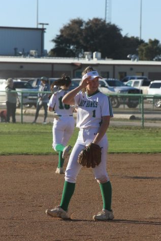 Lady Hawk Softball Heads Into District